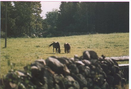 Barre och Lillan